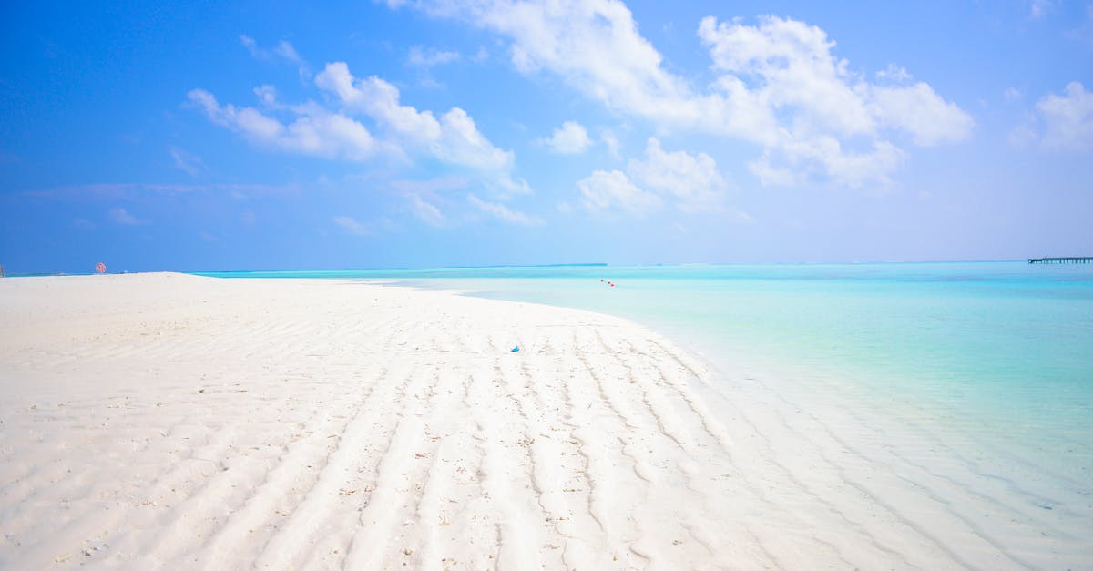 découvrez 'paradise', un lieu enchanté où la beauté naturelle rencontre le bien-être. explorez des paysages à couper le souffle, détendez-vous dans un cadre idyllique et laissez-vous emporter par une expérience inoubliable au cœur du paradis.