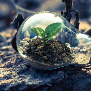 Boostez votre Prospection dans les Énergies Renouvelables avec Leadnergy