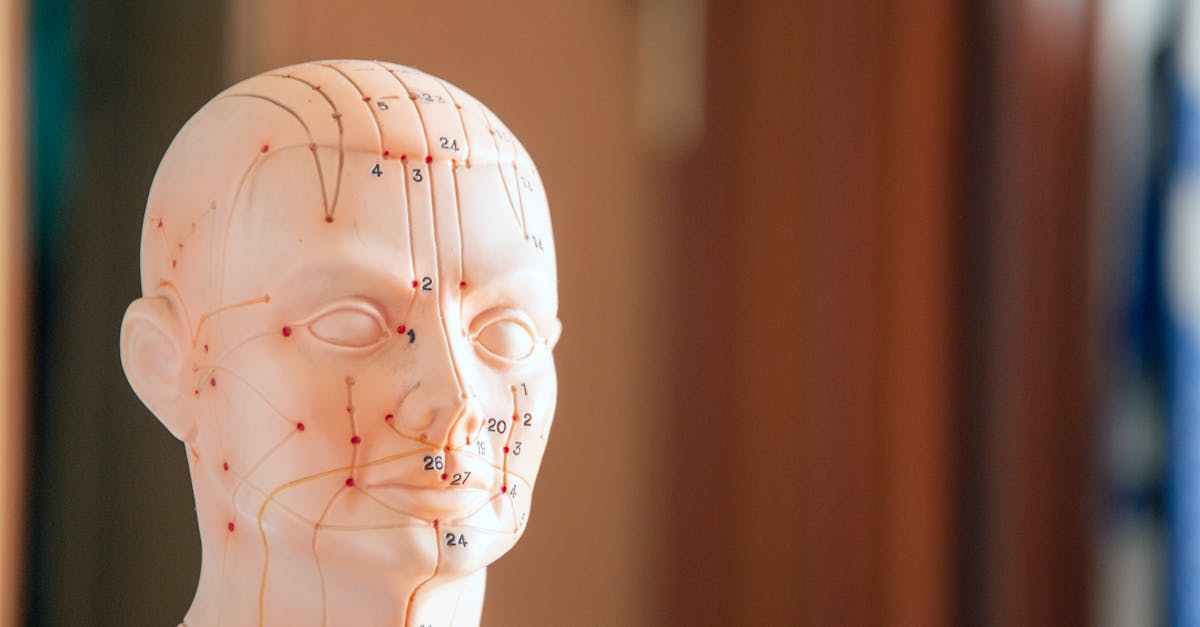découvrez l'acupression, une technique de bien-être inspirée de la médecine traditionnelle chinoise. apprenez à soulager le stress, les douleurs et à favoriser la relaxation grâce à des points de pression ciblés. initiez-vous à cette pratique accessible à tous pour améliorer votre santé physique et mentale.