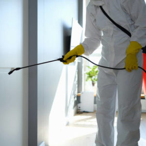 Une entreprise de dératisation à Lyon peut-elle intervenir sans bloquer les accès à l’immeuble ?