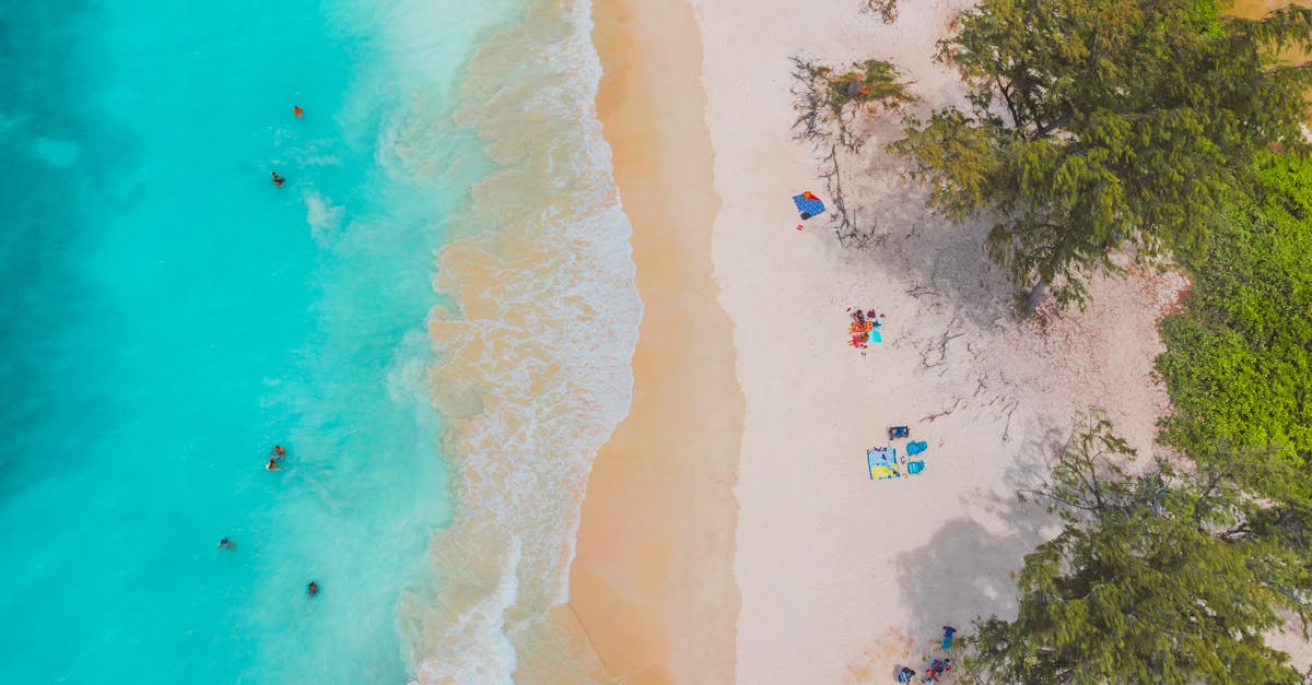 Les meilleures serviettes de plage : comment bien choisir pour l’été ?
