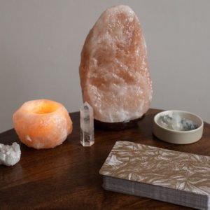 Discover Shaktio: Your Gateway to Holistic Wellness