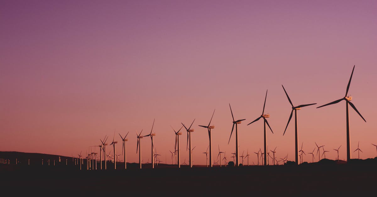 découvrez les principes de la sustainability (durabilité) : définitions, enjeux, solutions pour adopter un mode de vie respectueux de l'environnement et des ressources naturelles tout en favorisant un avenir meilleur.
