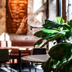 Peut-on réserver un restaurant Lyon 6 le jour même ?