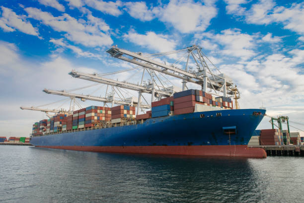 Comment intégrer les coûts d’immobilisation dans le calcul du TCO flotte ?