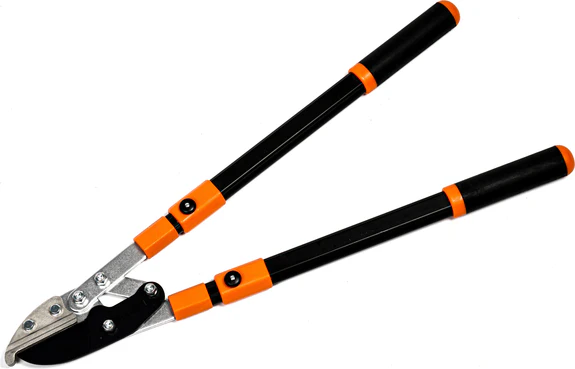 Quels critères vérifier avant d’acheter un coupe branches à Nice pour un usage régulier ?