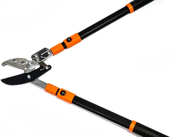 Peut-on utiliser un coupe branches à Bordeaux pour entretenir des haies épaisses efficacement ?