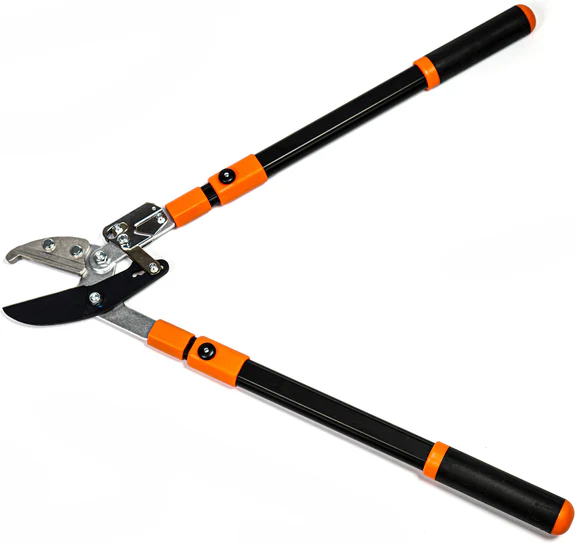 Comment utiliser un coupe branches à Nice pour tailler des arbres en hauteur en toute sécurité ?