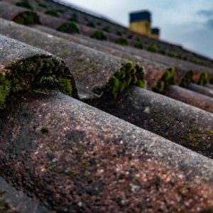 Qui contacter pour un nettoyage de toiture dans les Yvelines (78) ?