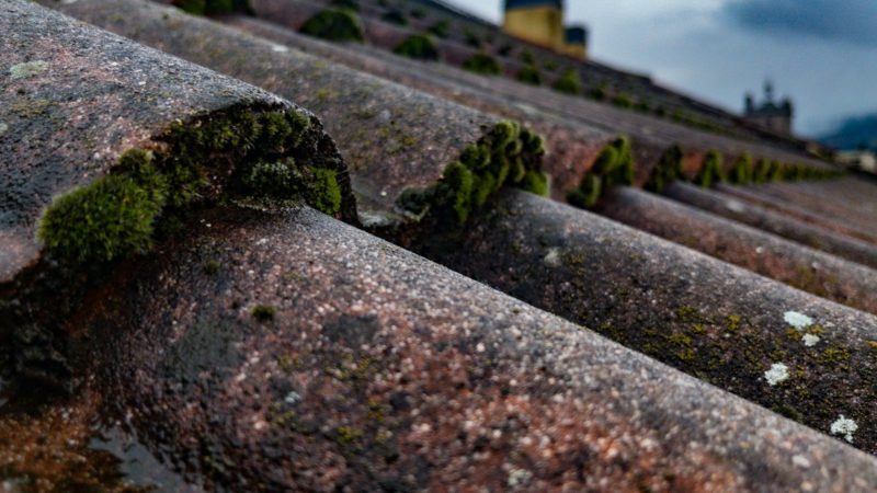 Qui contacter pour un nettoyage de toiture dans les Yvelines (78) ?