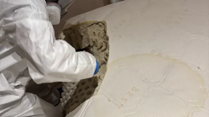 Comment se passe un nettoyage post-mortem à Chinon et Loches ?